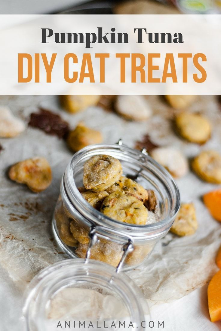 Best ideas about DIY Cat Treats
. Save or Pin Best 25 Homemade cat treats ideas on Pinterest Now.