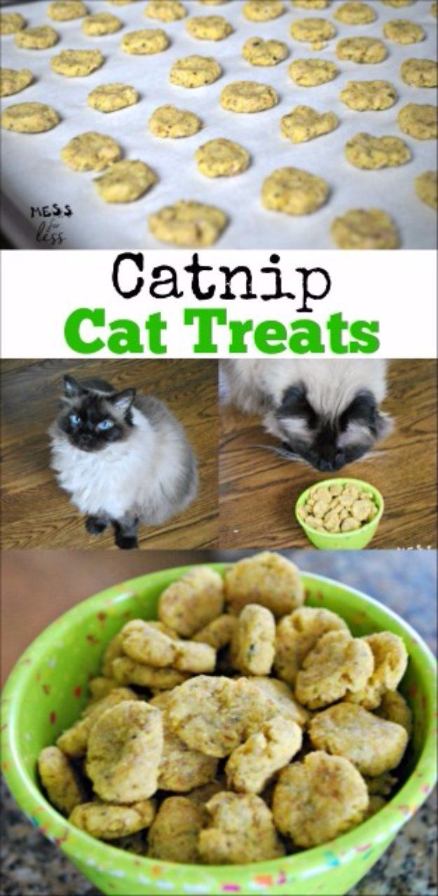 Best ideas about DIY Cat Treats
. Save or Pin 1000 ideas about Homemade Cat Trees on Pinterest Now.