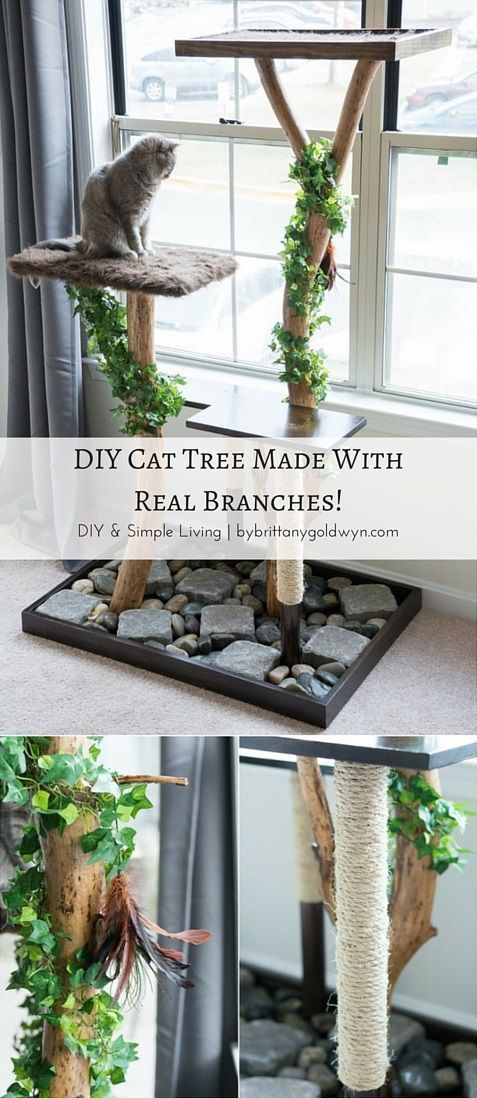 Best ideas about DIY Cat Tree Cheap
. Save or Pin Best 25 Homemade cat trees ideas on Pinterest Now.