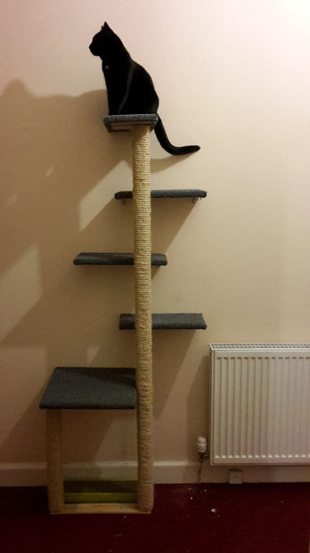 Best ideas about DIY Cat Tree Cheap
. Save or Pin DIY Cat Tree Now.
