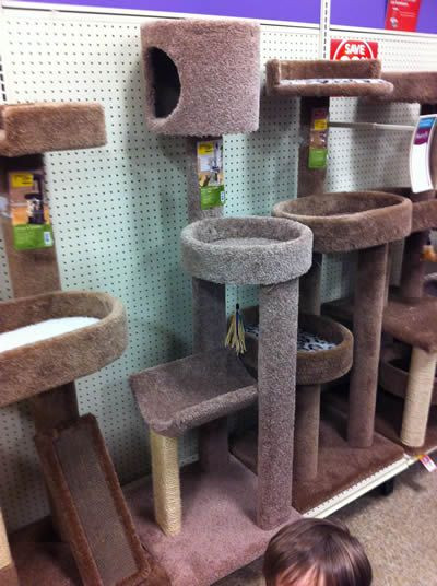 Best ideas about DIY Cat Tree Cheap
. Save or Pin These things are nothing but particle board cardboard Now.