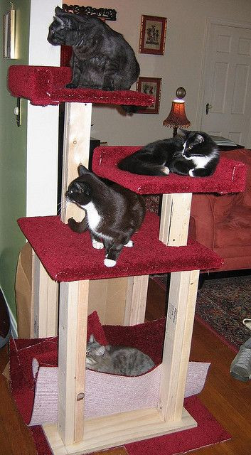 Best ideas about DIY Cat Tree Cheap
. Save or Pin Best 25 Homemade cat trees ideas on Pinterest Now.