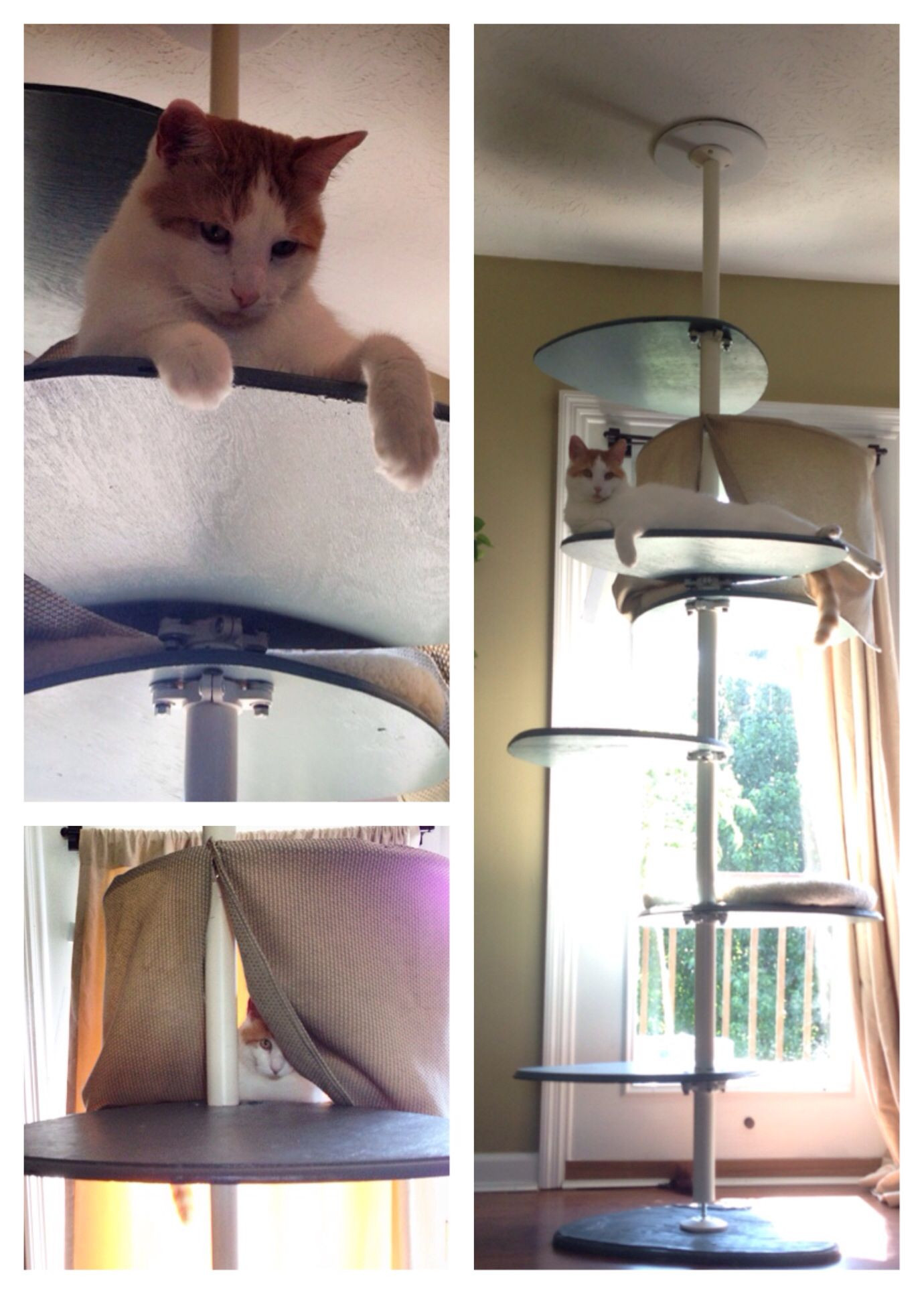 Best ideas about DIY Cat Tree Cheap
. Save or Pin Our homemade DIY cat tree Nailed cheap beds to two of the Now.