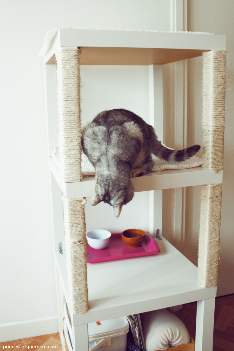 Best ideas about DIY Cat Tree Ikea
. Save or Pin Cat Tree with Ikea Lack IKEA Hackers IKEA Hackers Now.