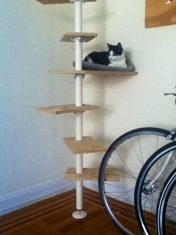 Best ideas about DIY Cat Tree Ikea
. Save or Pin IKEA Stolmen Cat Tree DIY catstuff Pinterest Now.