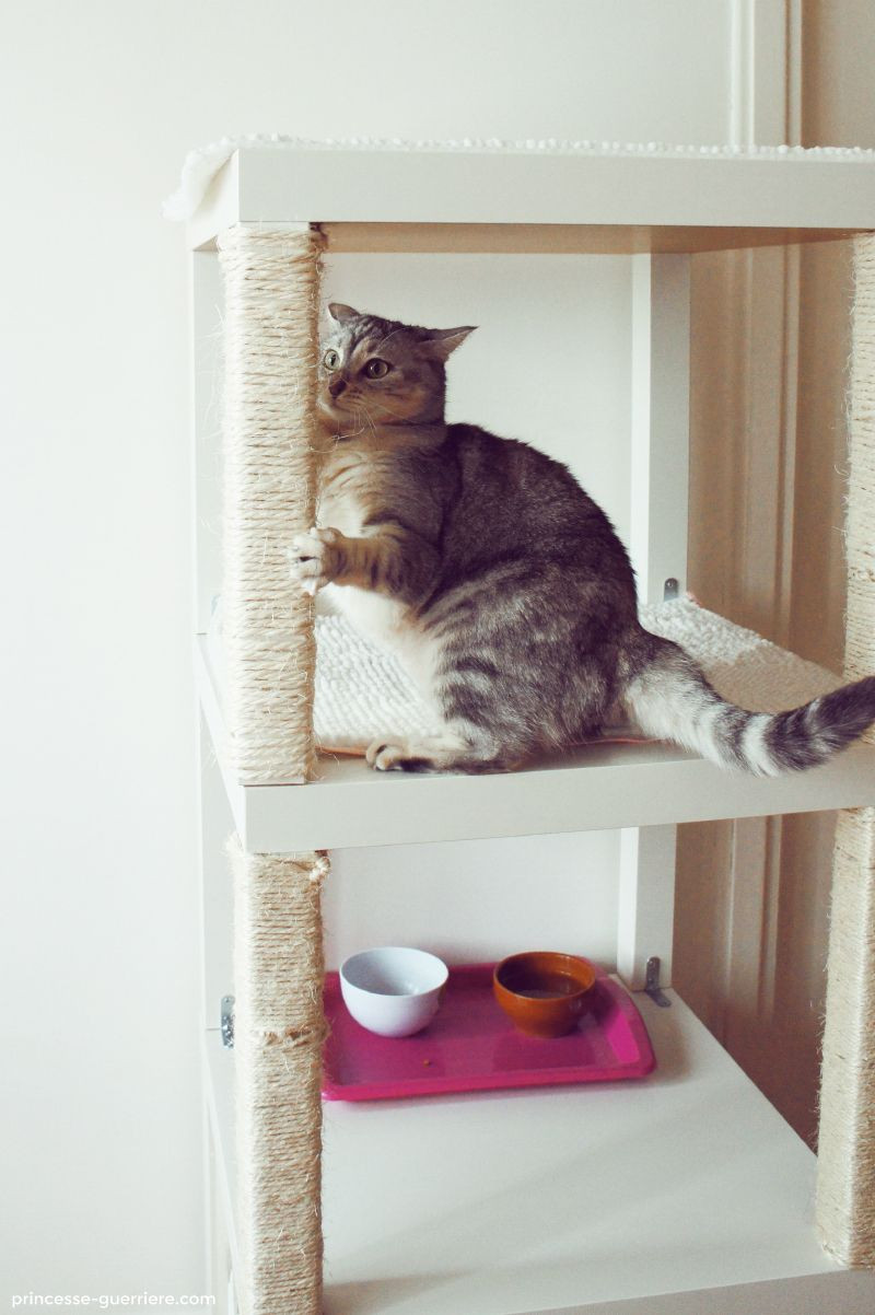 Best ideas about DIY Cat Tree Ikea
. Save or Pin 6 DIY cat trees to enrich your kitty s life Now.