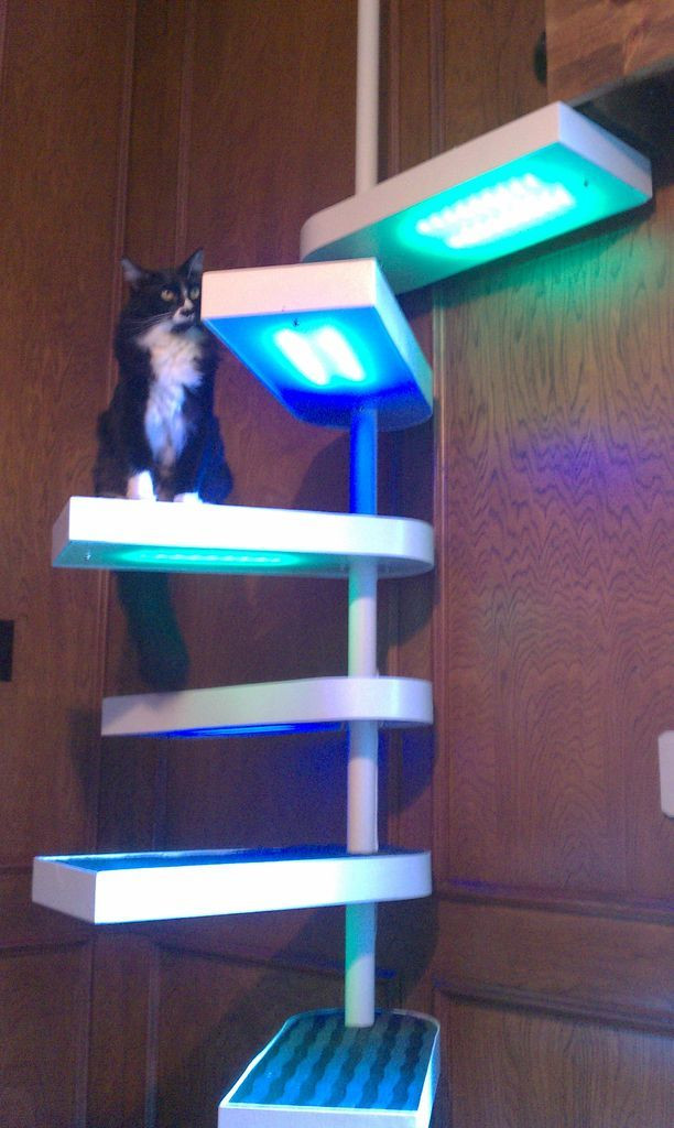 Best ideas about DIY Cat Tree Ikea
. Save or Pin Cat Staircase Deluxe Now.