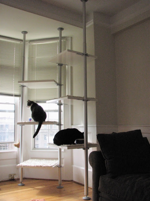 Best ideas about DIY Cat Tree Ikea
. Save or Pin TO DIY OR NOT TO DIY STAIRWAY TO CAT HEAVEN Now.