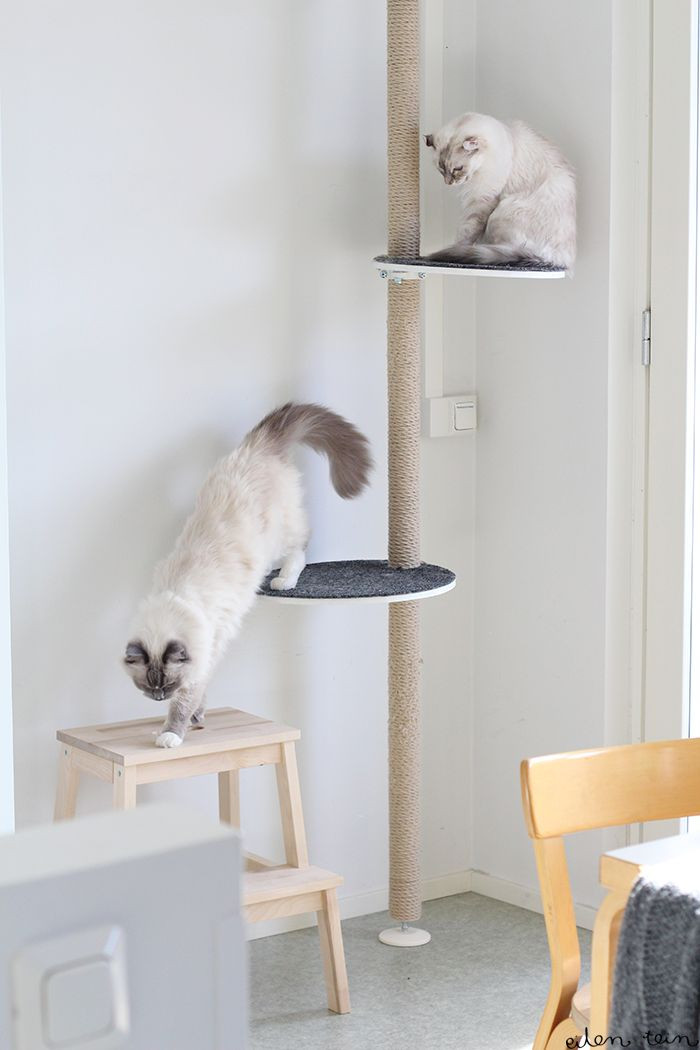 Best ideas about DIY Cat Tree Ikea
. Save or Pin Best 25 Ikea cat ideas on Pinterest Now.