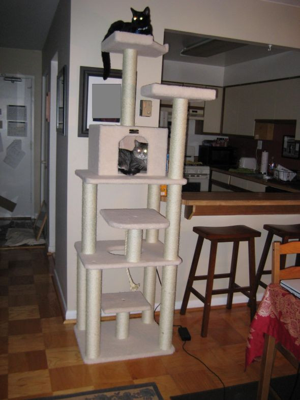 Best ideas about DIY Cat Tree Plans
. Save or Pin 22 best Epic Cat Trees images on Pinterest Now.