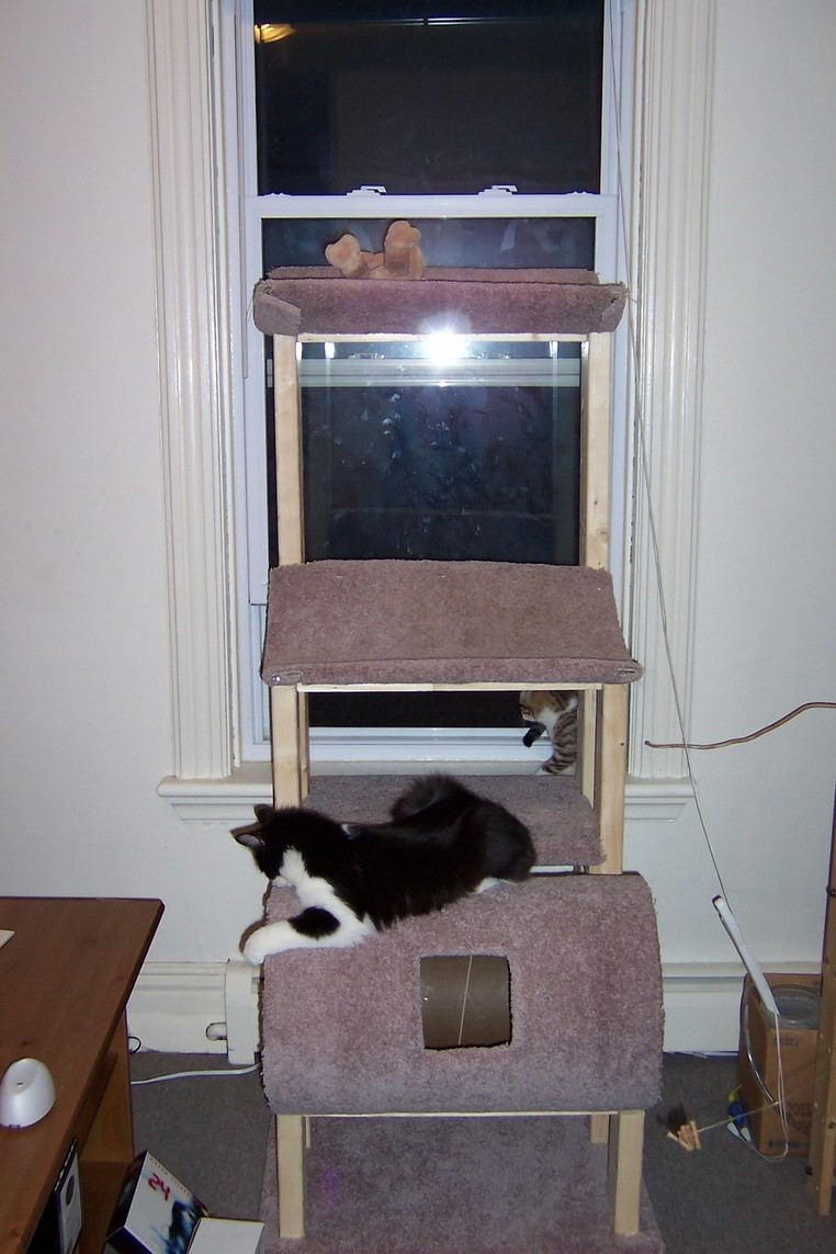 Best ideas about DIY Cat Tree Plans
. Save or Pin Homemade Cat Tree Plans Easy DIY Woodworking Projects Now.