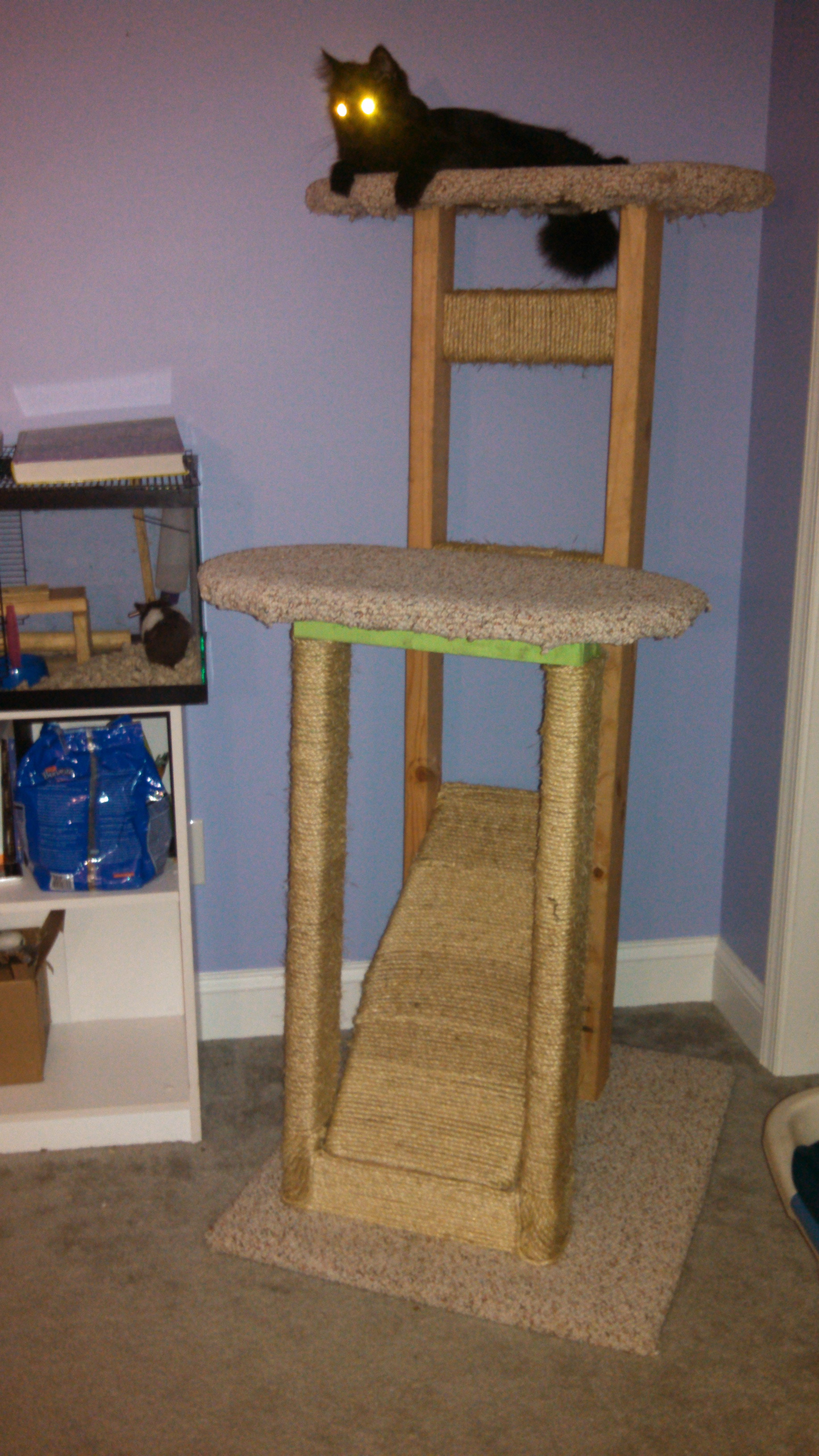 Best ideas about DIY Cat Tree Plans
. Save or Pin homemade “cat tree” Now.