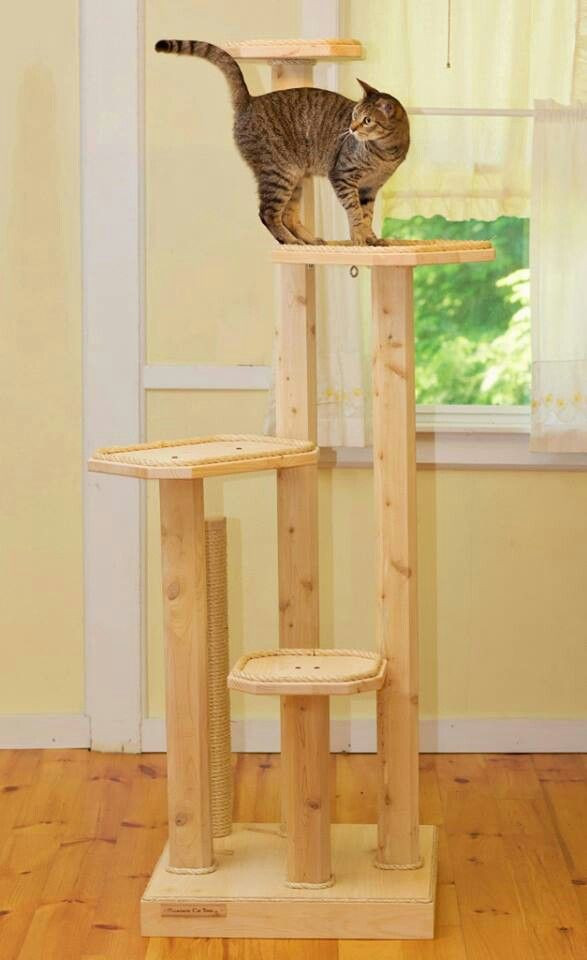 Best ideas about DIY Cat Trees
. Save or Pin 25 best ideas about Cat trees on Pinterest Now.