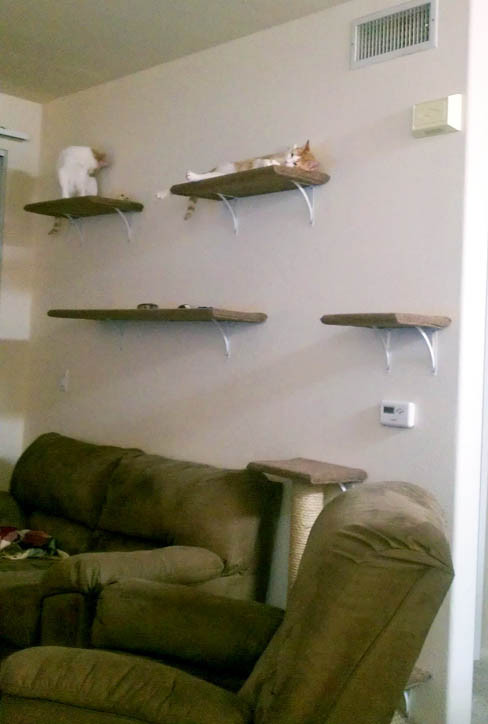 Best ideas about DIY Cat Wall
. Save or Pin How we made our DIY wall mounted cat tree Now.