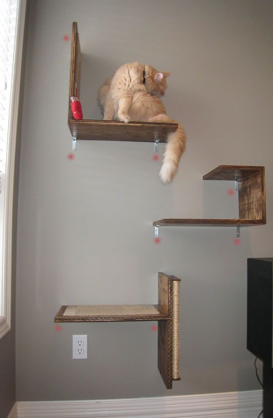 Best ideas about DIY Cat Wall
. Save or Pin diy cat climbing wall Katzis Pinterest Now.