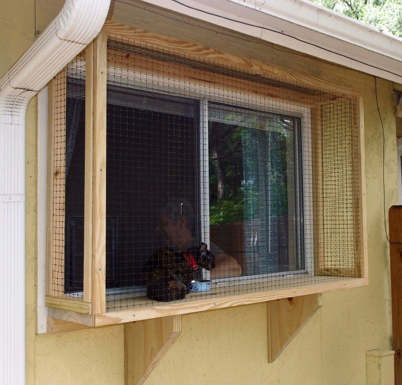Best ideas about DIY Cat Window Box
. Save or Pin Cat window box at The Cat Carpenter Now.