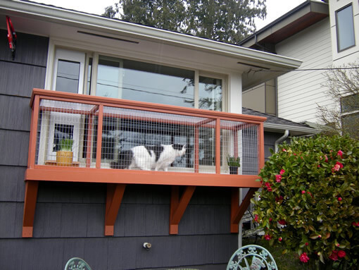 Best ideas about DIY Cat Window Box
. Save or Pin DIY Catio Plan The Window Box™ Catio Plans Now.