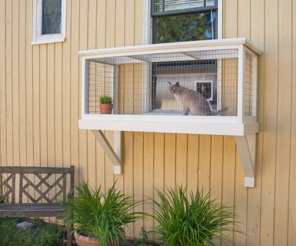 Best ideas about DIY Cat Window Box
. Save or Pin It’s Easy to Build a DIY Catio for Your Cat Catio Spaces Now.