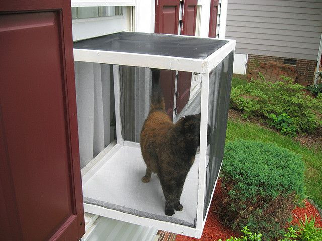 Best ideas about DIY Cat Window Box
. Save or Pin Cat Window Box 001 Now.