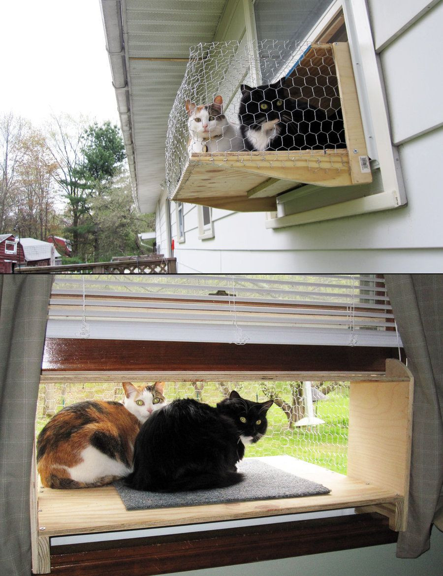 Best ideas about DIY Cat Window Box
. Save or Pin Cat Windowbox by WhisperWonderlandviantart on Now.