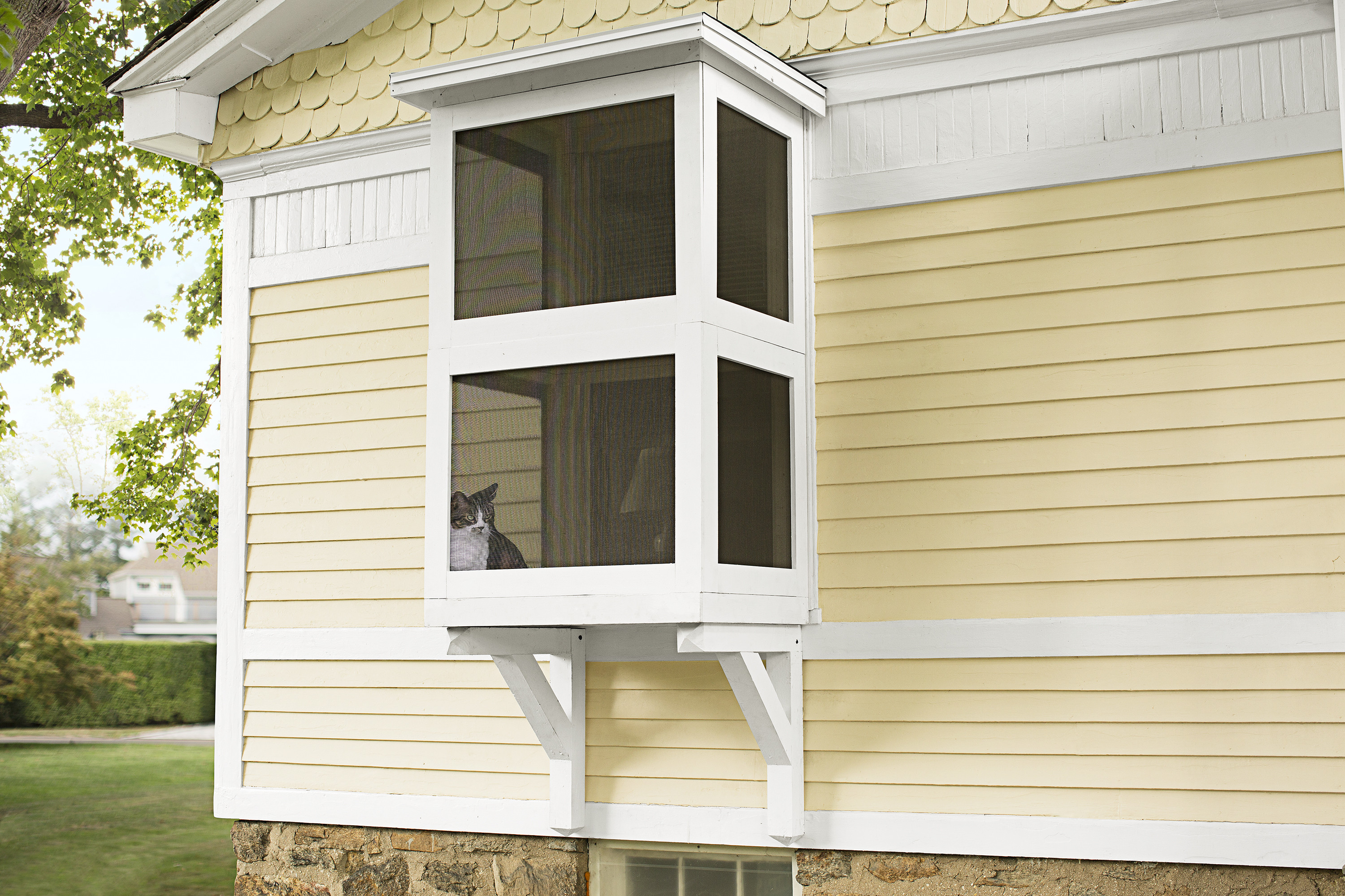 Best ideas about DIY Cat Window Box
. Save or Pin How to Build a Catio Now.