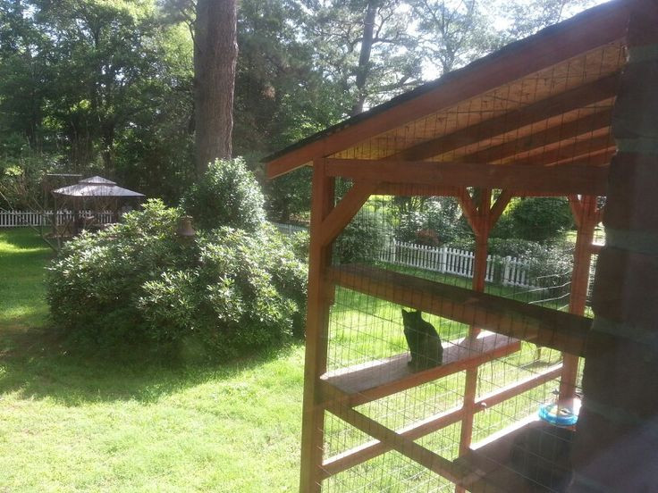 Best ideas about DIY Catio Cheap
. Save or Pin Meowser enjoying the catio DIY Catio for cheap Now.