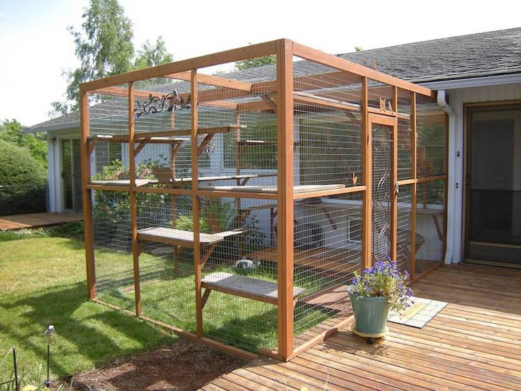 Best ideas about DIY Catio Cheap
. Save or Pin Cat Owners are Building Catio Spaces for Their Favorite Now.