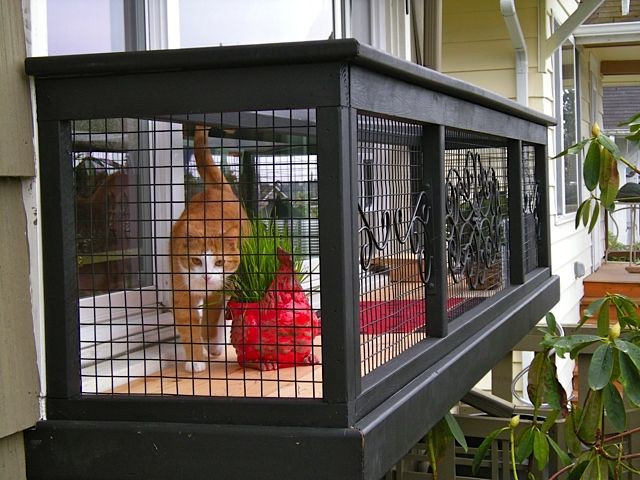 Best ideas about DIY Catio Cheap
. Save or Pin Best 25 Outdoor cat run ideas on Pinterest Now.