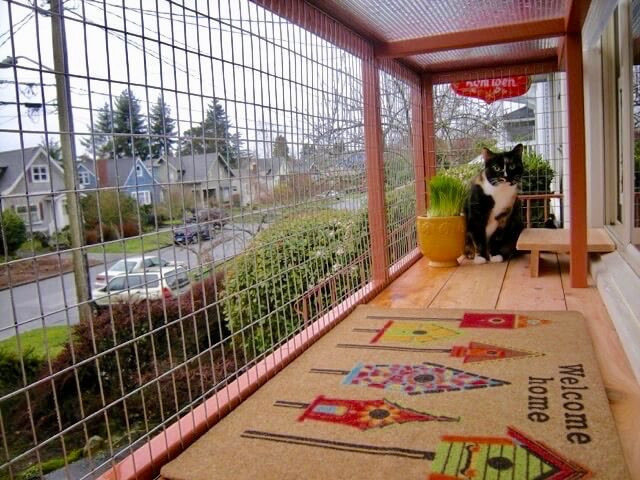 Best ideas about DIY Catio Cheap
. Save or Pin DIY Catio Materials How to Pick the Right Cat Enclosure Now.