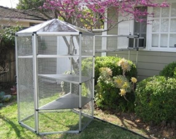 Best ideas about DIY Catio Cheap
. Save or Pin How to Buy an Outdoor Cat Enclosure Cheap Now.