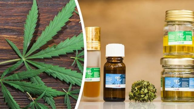 Best ideas about DIY Cbd Oil
. Save or Pin World Health Organization Says DEA Is Wrong About CBD Oil Now.