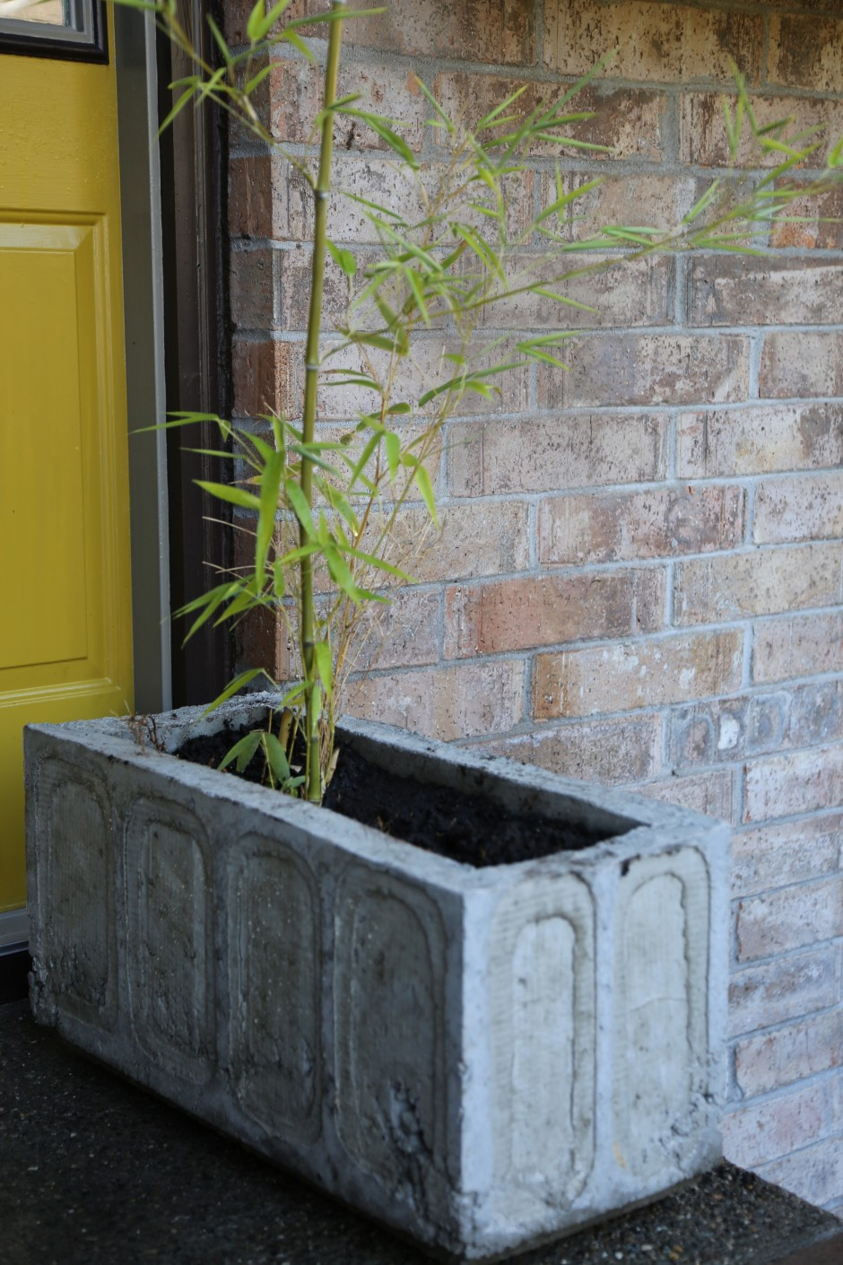 Best ideas about DIY Cement Planters
. Save or Pin A DIY concrete planter–it’s easier than it looks Now.