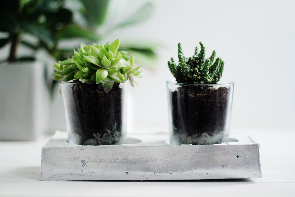 Best ideas about DIY Cement Planters
. Save or Pin DIY Chrome & Concrete Planter Now.