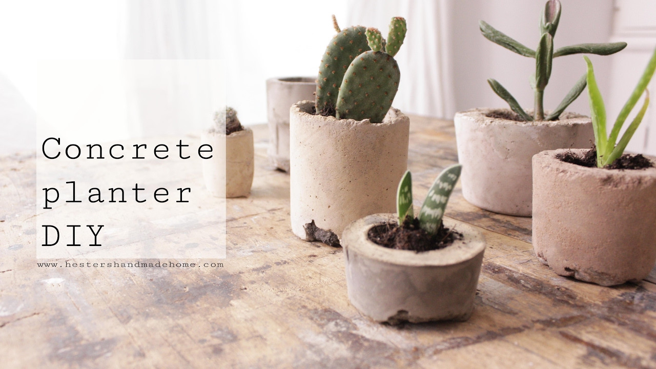 Best ideas about DIY Cement Planters
. Save or Pin Concrete planters DIY Now.