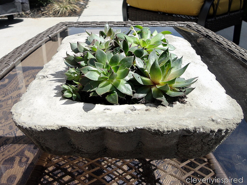 Best ideas about DIY Cement Planters
. Save or Pin DIY Concrete Tray Planter video tutorial Cleverly Inspired Now.