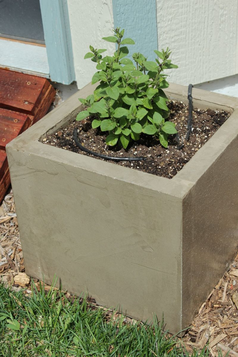 Best ideas about DIY Cement Planters
. Save or Pin DIY Modern Minimal Concrete Planter Boxes Now.