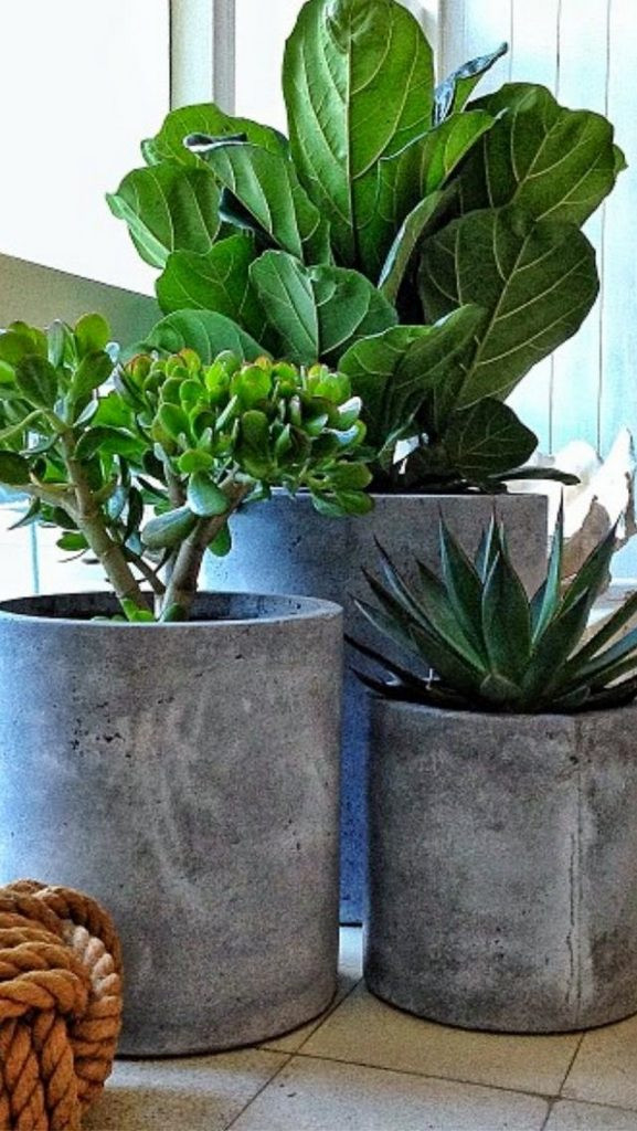 Best ideas about DIY Cement Planters
. Save or Pin How to make your own concrete planter Now.