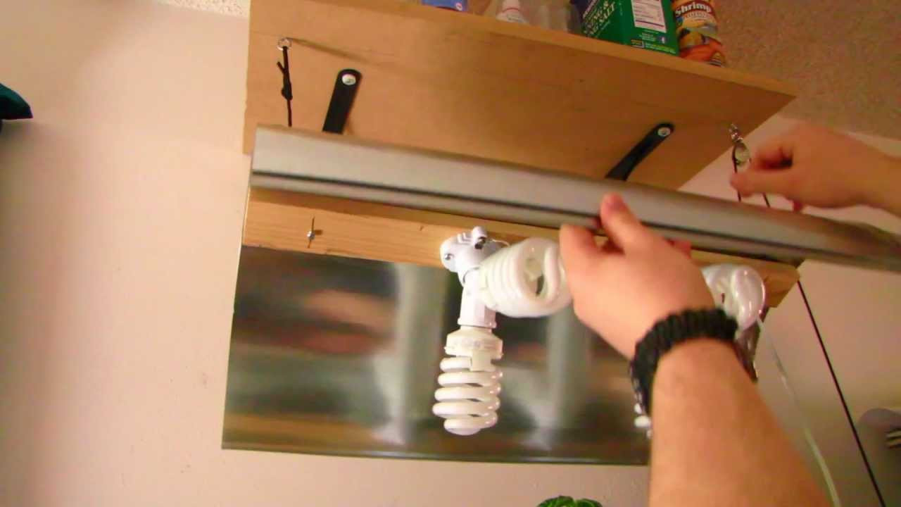 Best ideas about DIY Cfl Grow Light
. Save or Pin Cheap DIY CFL Grow Light Now.