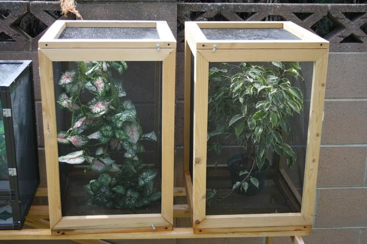 Best ideas about DIY Chameleon Cage
. Save or Pin Cage making pplies and how to Chameleon Forums Now.