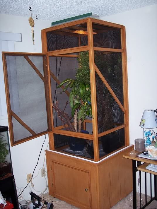 Best ideas about DIY Chameleon Cage
. Save or Pin Chameleon Cage Plans Now.