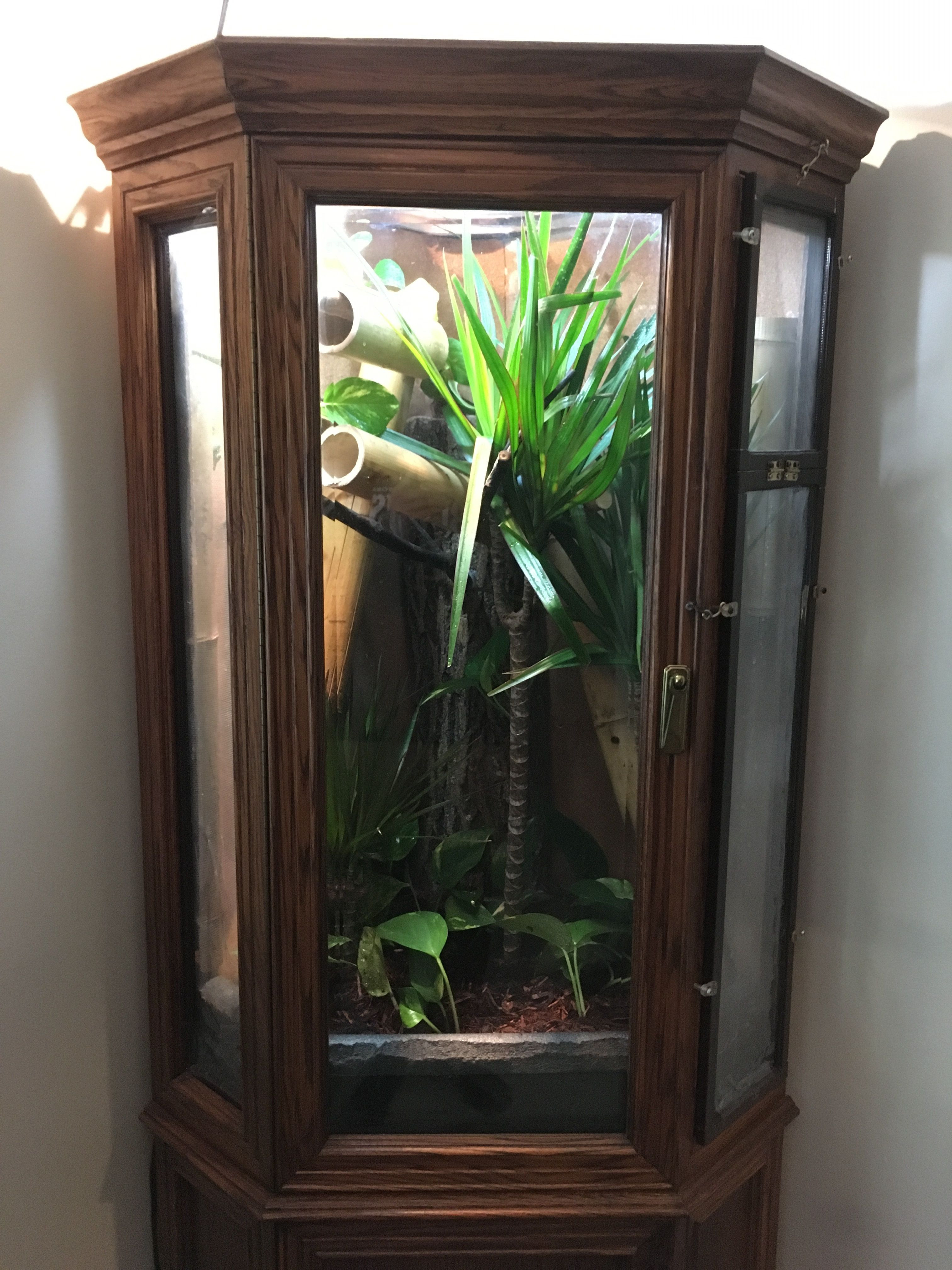 Best ideas about DIY Chameleon Cages
. Save or Pin diy chameleon cage Diy vivarium Now.