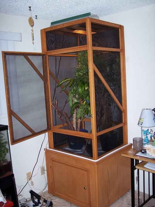 Best ideas about DIY Chameleon Cages
. Save or Pin Chameleon Cage Plans Now.