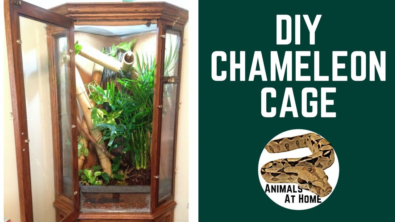 Best ideas about DIY Chameleon Cages
. Save or Pin DIY Chameleon Cage Vivarium Now.