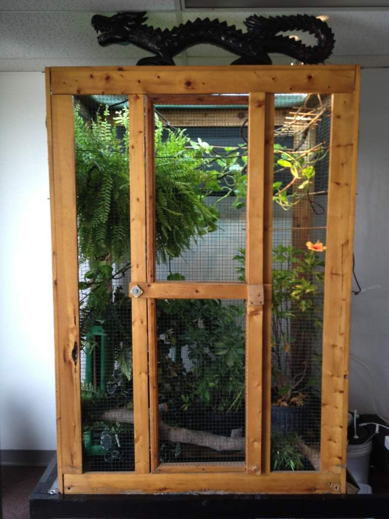 Best ideas about DIY Chameleon Cages
. Save or Pin How does your current cage look like Please post Now.