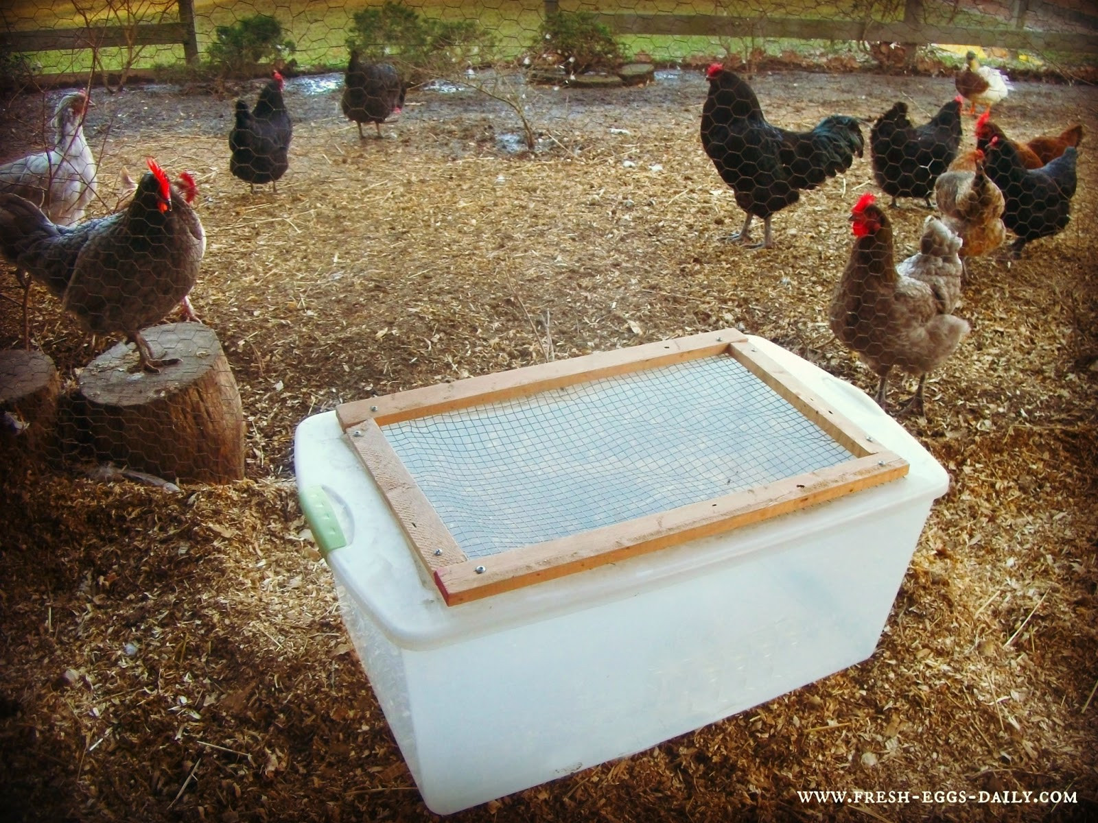 Best ideas about DIY Chicken Brooder
. Save or Pin Easy DIY Chick Brooder Box Tutorial Now.