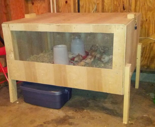 Best ideas about DIY Chicken Brooder
. Save or Pin 10 DIY Chick Brooder Keep Baby Chicks Safe And Warm Now.