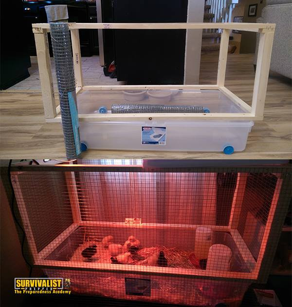 Best ideas about DIY Chicken Brooder
. Save or Pin 10 DIY Chick Brooder Keep Baby Chicks Safe And Warm Now.