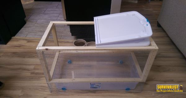 Best ideas about DIY Chicken Brooder
. Save or Pin How to Make a Cheap Homemade DIY Chicken Brooder Now.