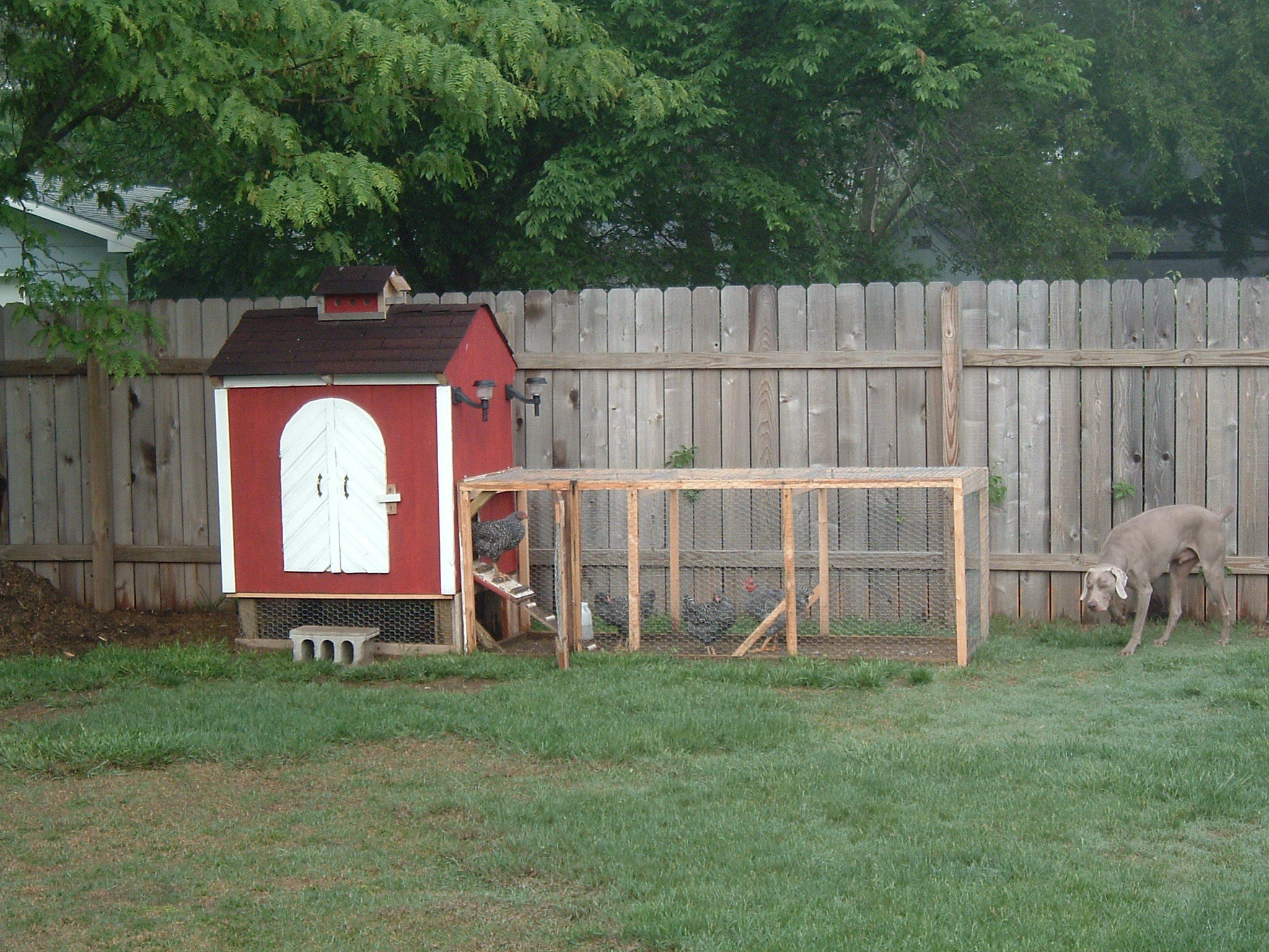 Best ideas about DIY Chicken Coop
. Save or Pin Backyard Chicken Coop 6 Steps with Now.