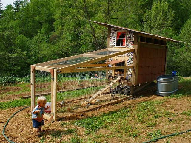 Best ideas about DIY Chicken Coop
. Save or Pin Homemade Chicken Coop with Beer Can Shingles Was Built in Now.